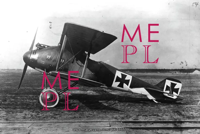  : LFG Roland DII, single seat fighter