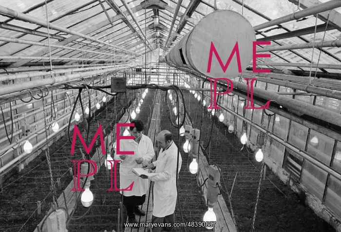 : Lgov Experimental Selection Station : Lgov Experimental Selection Station