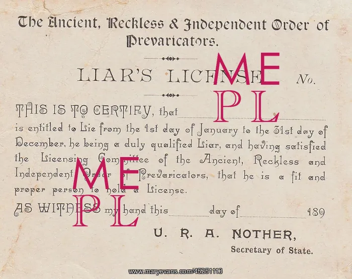 : Liar's License Card : Liar's License Card