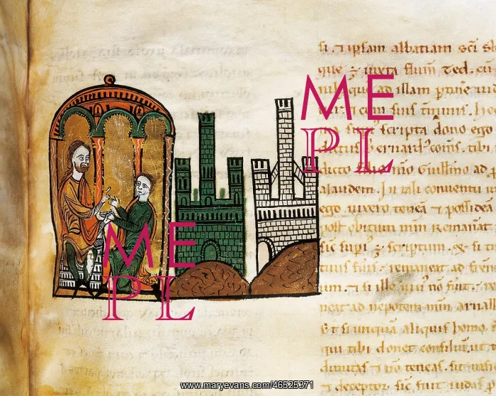 : Liber Feudorum Maior : Liber Feudorum Maior