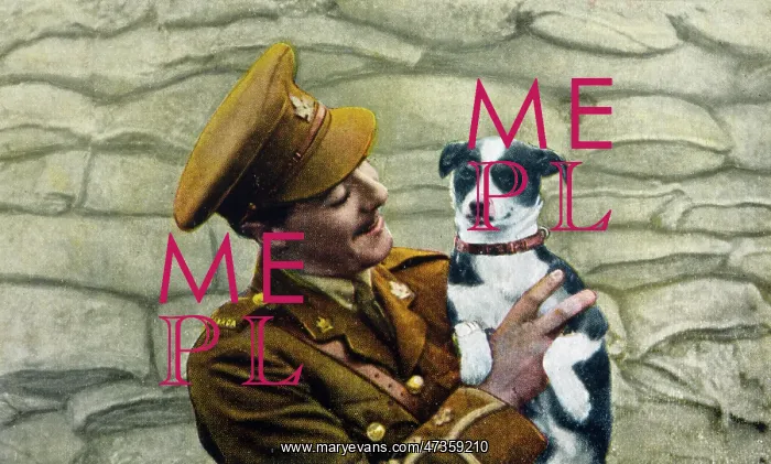 : LIBERATED DOG 1918 : LIBERATED DOG 1918