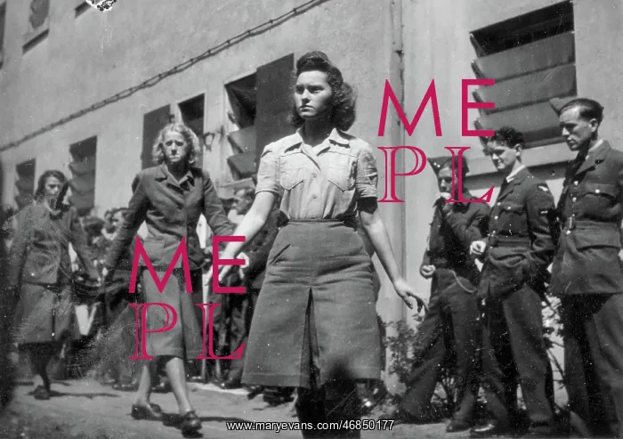 : Liberation of Belsen Concentration Camp, Germany : Liberation of Belsen Concentration Camp, Germany