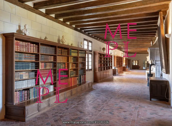 : Library, Chateau du Plessis-Bourre, Ecuille : Library, Chateau du Plessis-Bourre, Ecuille