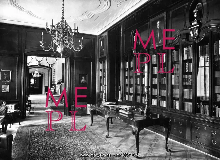 : Library of a property in Neudeck, 1930 : Library of a property in Neudeck, 1930