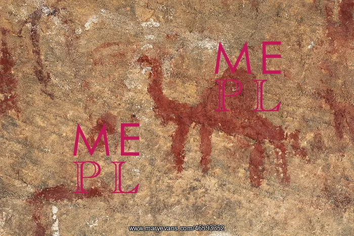 : LIBYA. Tadrart Acacus. Representation of a dromedary : LIBYA. Tadrart Acacus. Representation of a dromedary