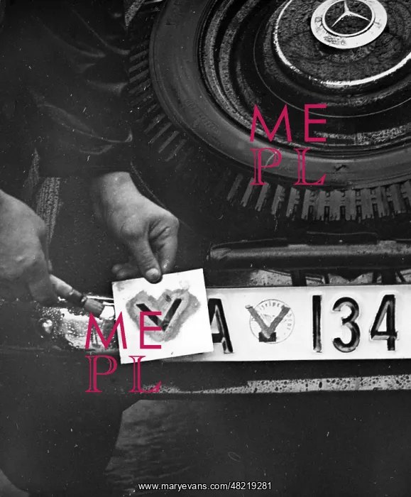 : License plate with civilian license : License plate with civilian license