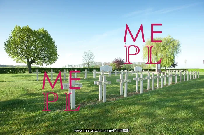 : Lidrezing French Cemetery : Lidrezing French Cemetery