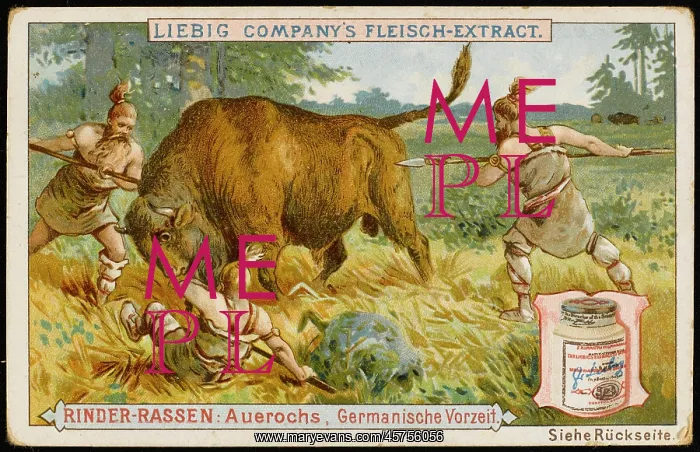  : LIEBIG AUROCHS