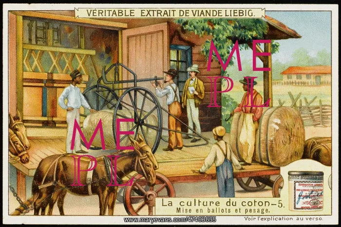  : Liebig - Cotton Industry