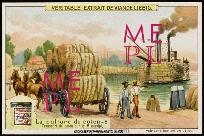: Liebig - Cotton Industry : Liebig - Cotton Industry