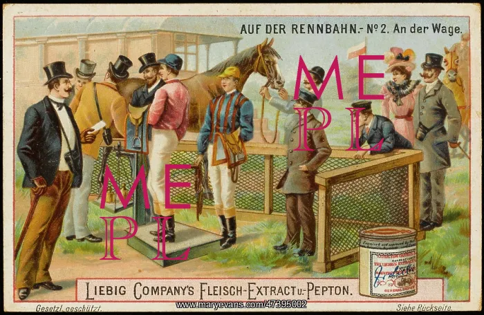: Liebig - Horse Racing : Liebig - Horse Racing