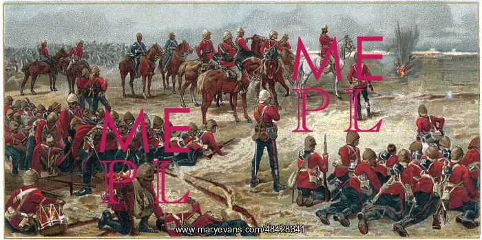 : Lieutenant-General Garnet Wolseley (later Viscount : Lieutenant-General Garnet Wolseley (later Viscount