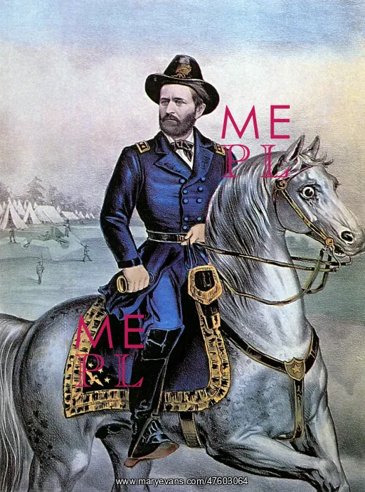 : Lieutenant General Ulysses S. Grant : Lieutenant General Ulysses S. Grant