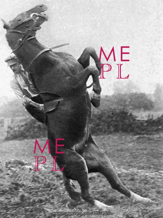  : Lieutenant Mike Rimmington training horses for the army, WW1
