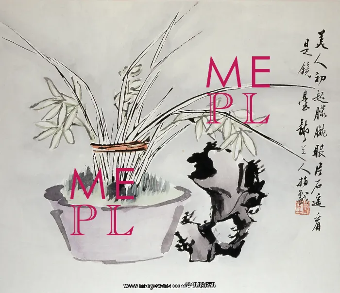  : Still life