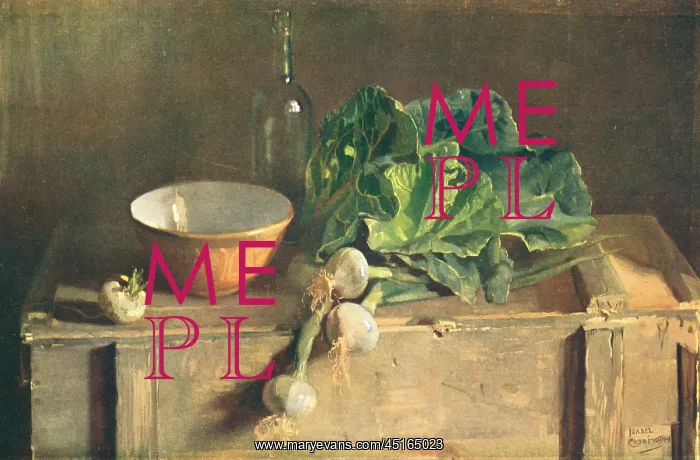 : Still Life : Still Life