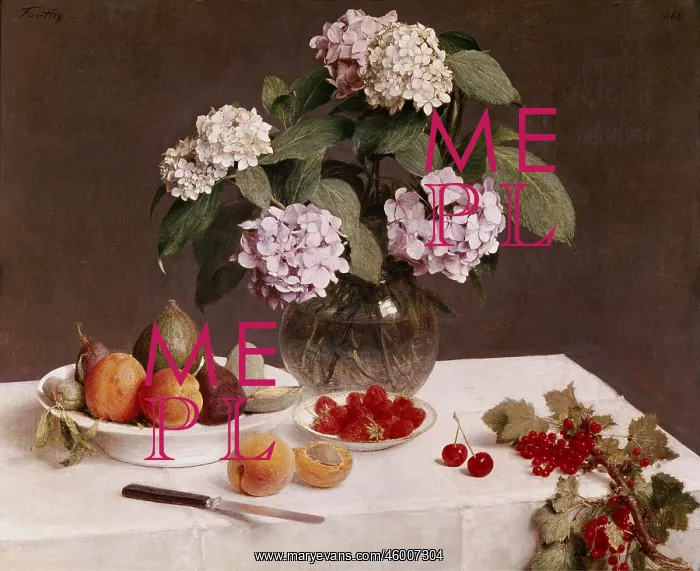 : Still Life : Still Life