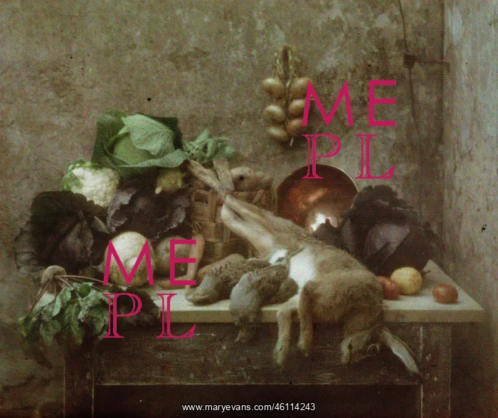 : Still life : Still life