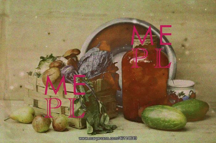 : Still life : Still life