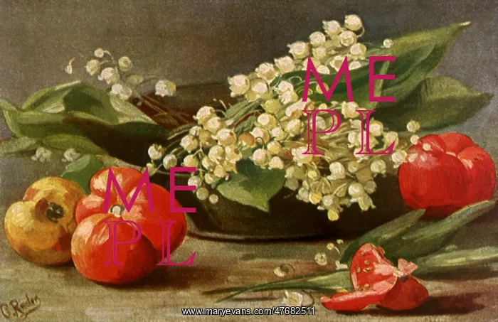 : Still Life : Still Life