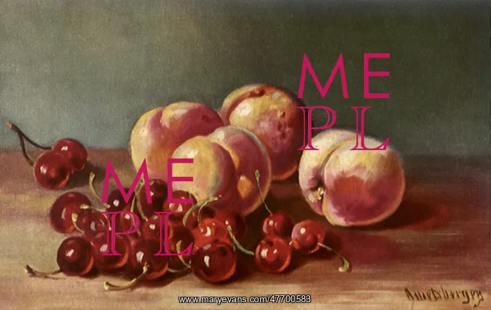 : Still Life : Still Life
