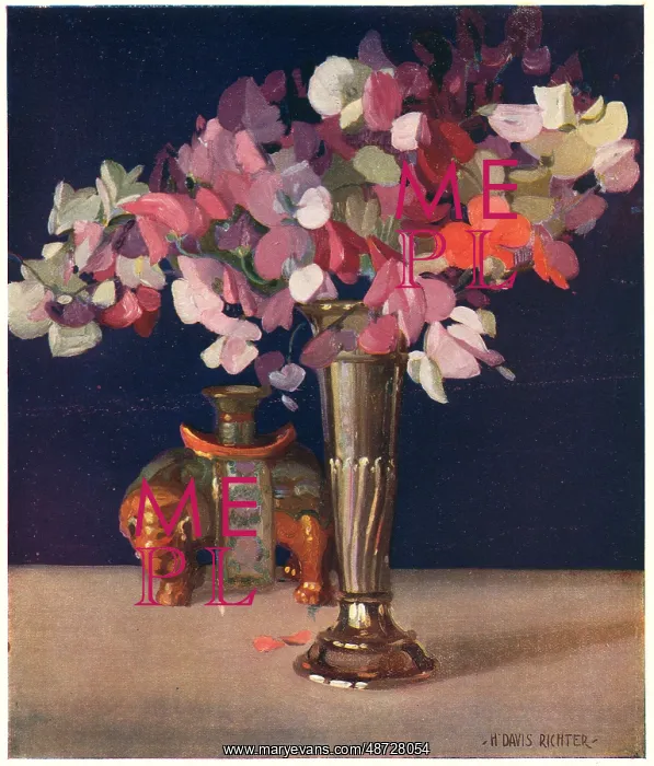 : Still Life : Still Life