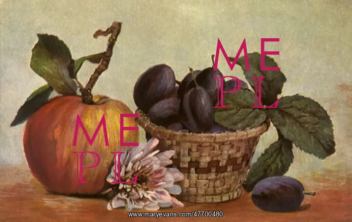  : Still Life Apple, Plums