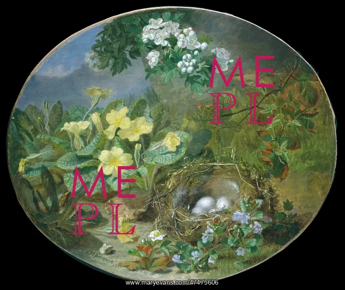 : Still Life with Bird's Nest and Spring Flowers : Still Life with Bird's Nest and Spring Flowers
