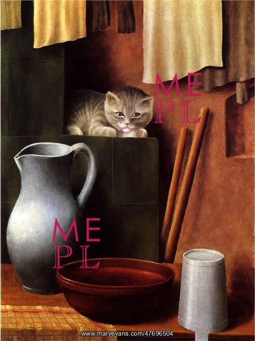  : Still Life with Cat