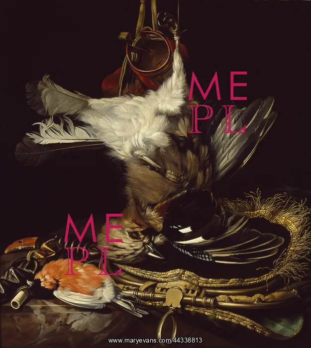 : Still Life with a dead Jay : Still Life with a dead Jay