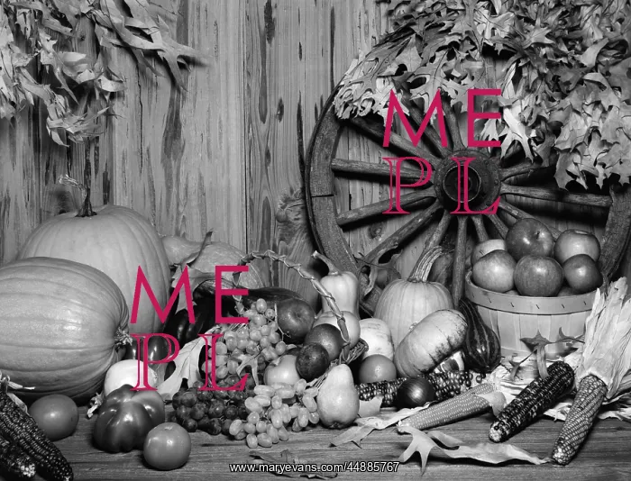  : Still Life Of Fall Harvest Fruits
