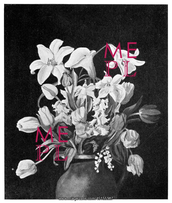 : Still Life Flowers : Still Life Flowers