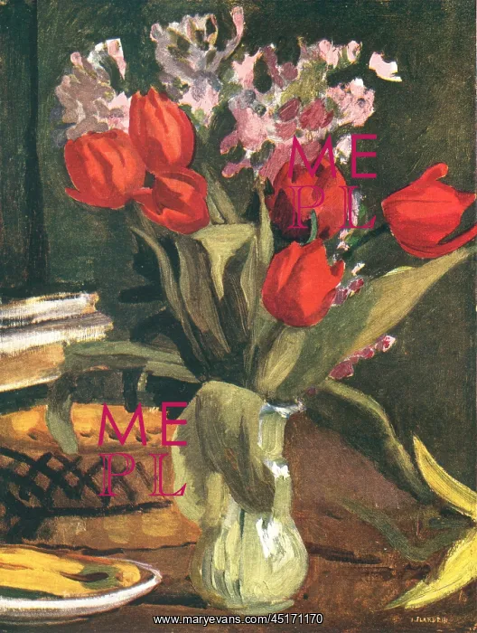 : Still Life Flowers : Still Life Flowers