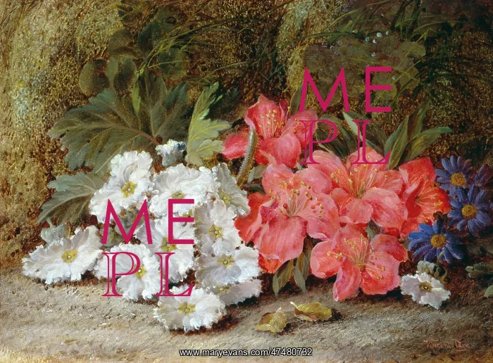: Still Life of Flowers ' pink azaleas : Still Life of Flowers ' pink azaleas