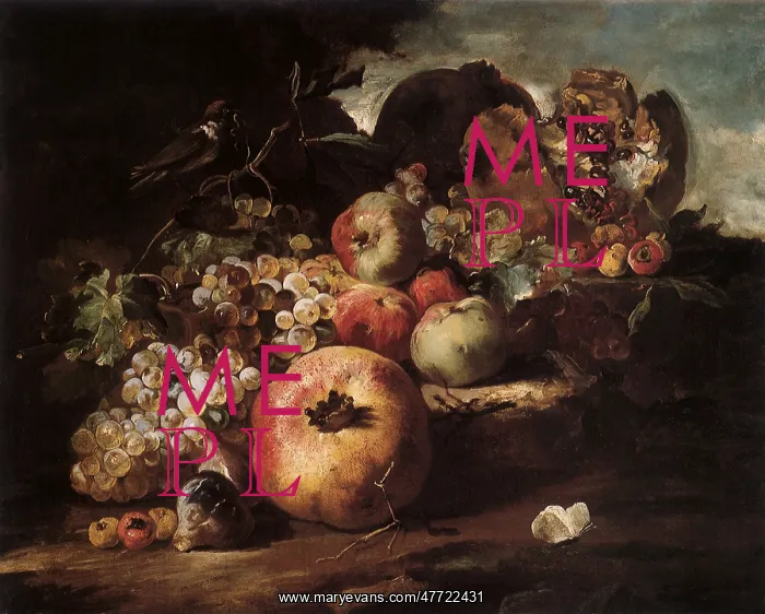 : Still Life with Fruit : Still Life with Fruit