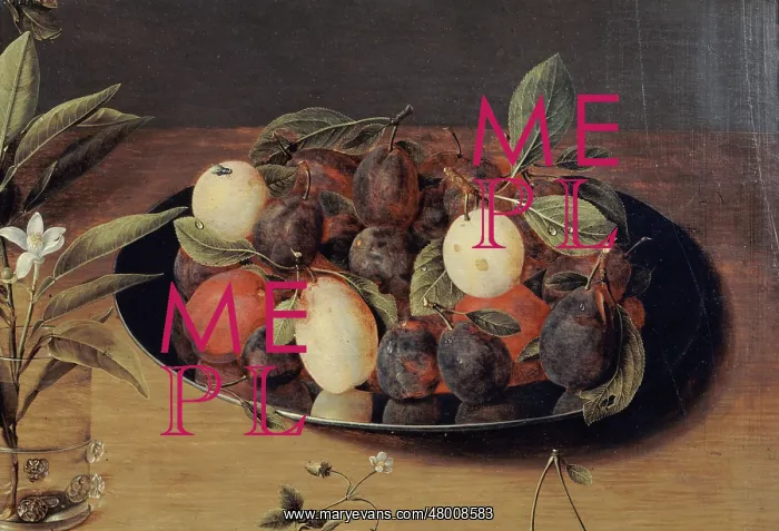 : Still life with fruit and flowers : Still life with fruit and flowers