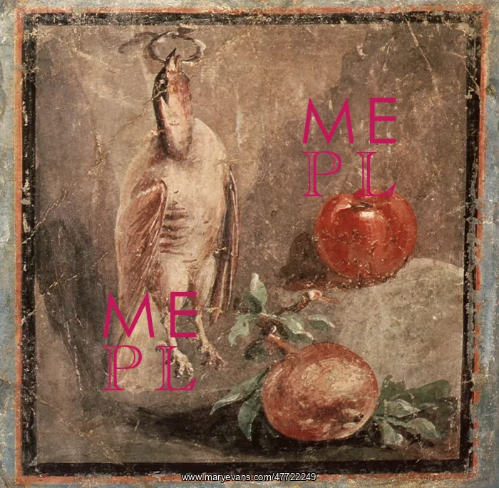 : Still Life with Fruit and Fowl : Still Life with Fruit and Fowl