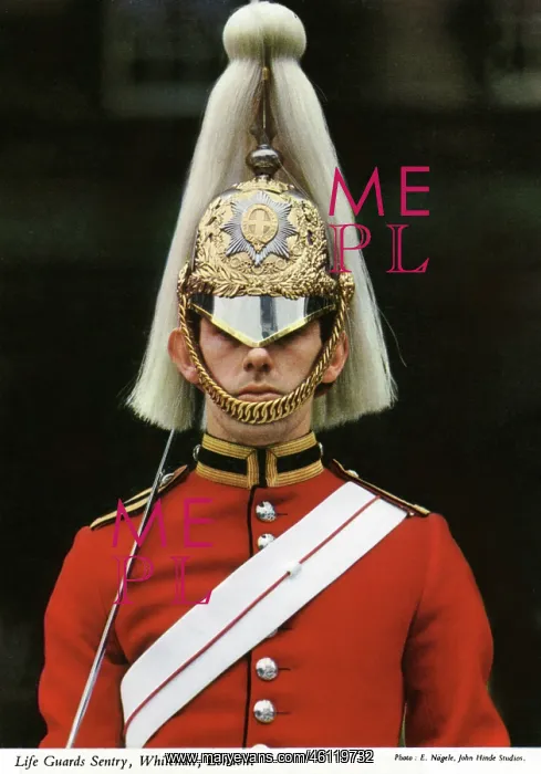  : Life Guards Sentry, Whitehall, London