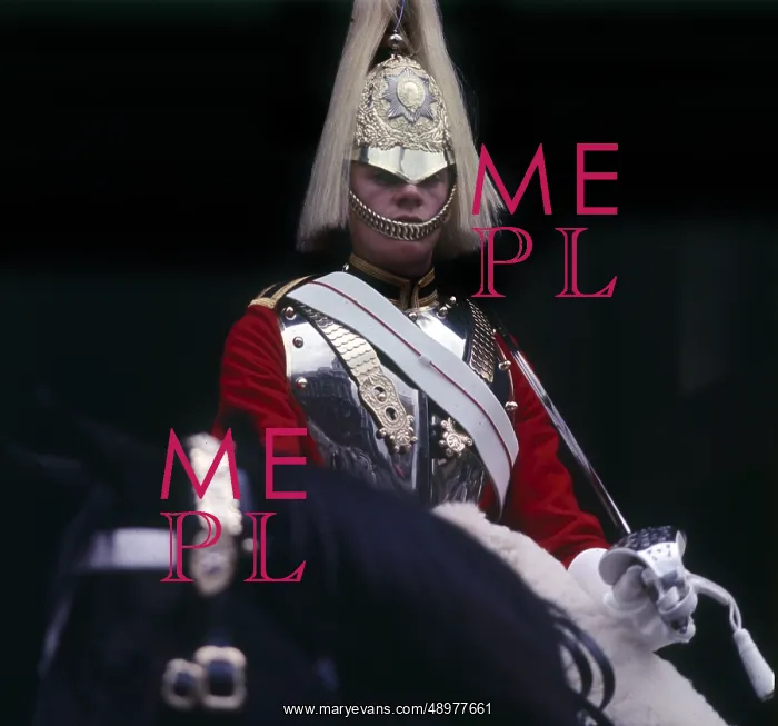 : Life Guards Sentry, Whitehall, London : Life Guards Sentry, Whitehall, London