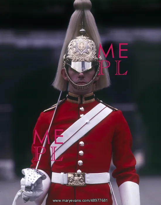 : Life Guards Sentry, Whitehall, London : Life Guards Sentry, Whitehall, London