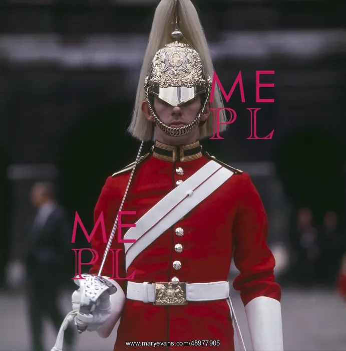 : Life Guards Sentry, Whitehall, London : Life Guards Sentry, Whitehall, London