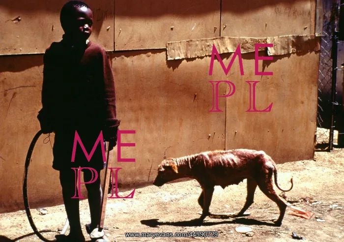 : Life in the informal settlement / squatter camps : Life in the informal settlement / squatter camps