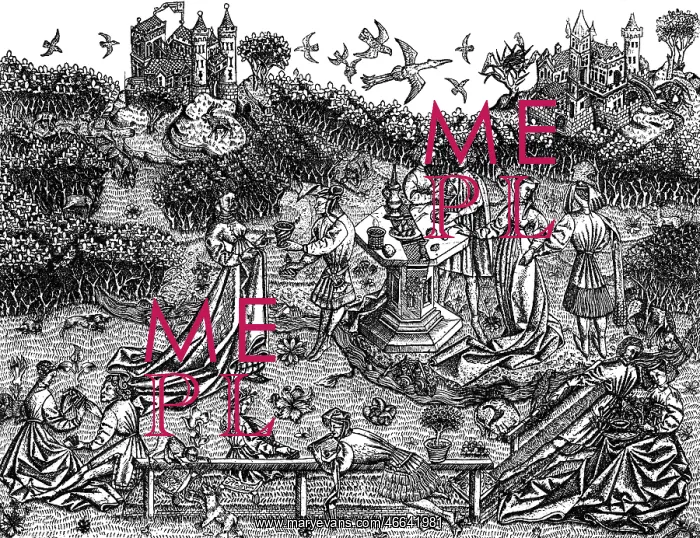 : life in the Middle Ages, People, The Big Garden : life in the Middle Ages, People, The Big Garden