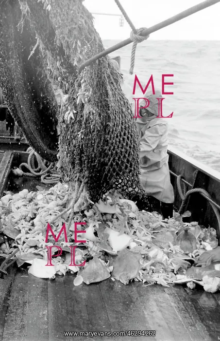 : Life on a North Sea trawler : Life on a North Sea trawler
