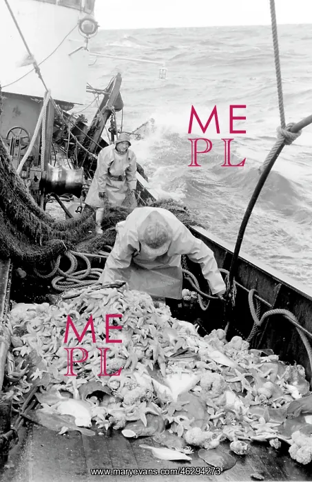 : Life on a North Sea trawler : Life on a North Sea trawler