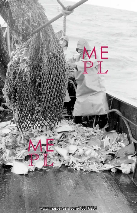 : Life on a North Sea trawler : Life on a North Sea trawler
