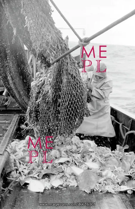 : Life on a North Sea trawler : Life on a North Sea trawler