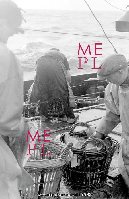 : Life on a North Sea trawler : Life on a North Sea trawler