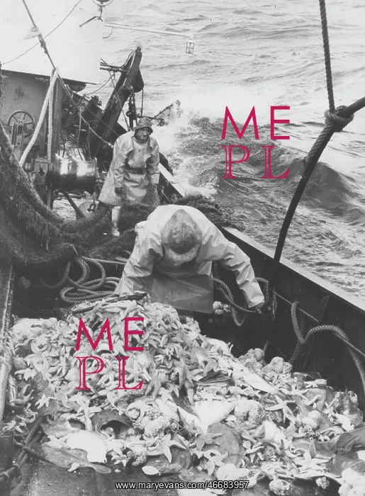 : Life on a North Sea trawler : Life on a North Sea trawler