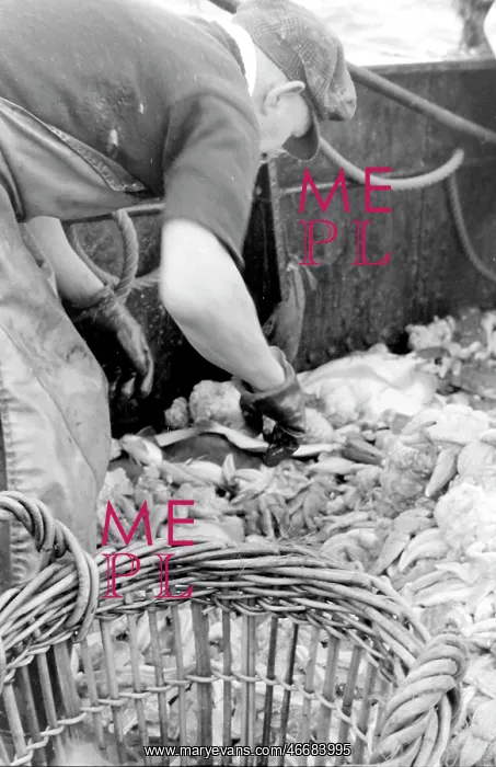: Life on a North Sea trawler : Life on a North Sea trawler